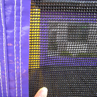 紫色のトランポリンのスライドの組み合わせGB495
